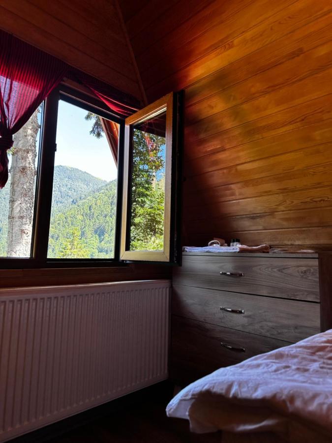 Maneviga Cafe & Apart Aparthotel Uzungol Bagian luar foto